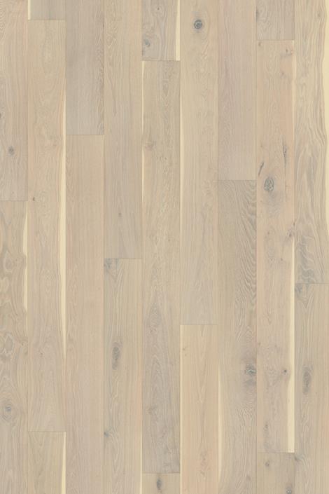 Дуб Овёс (Oat)