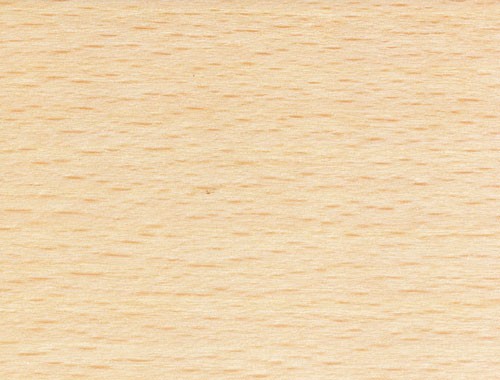 d-19 мм кольцо массивное Pedross Бук без покрытия d-19 мм кольцо массивное Pedross Бук без покрытия