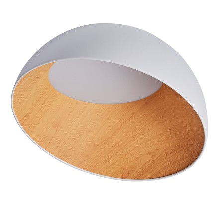 Потолочный светильник Zortes Baum