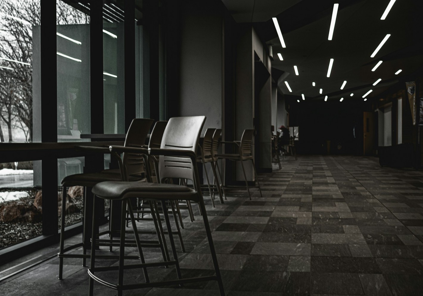 Коммерческий дизайн необходим для самых разных предприятий