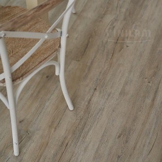 Дуб Цюрих фото