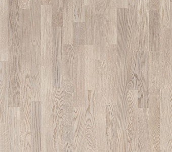 дуб остро фото