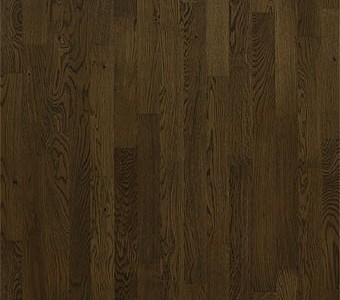 дуб санта-ана фото