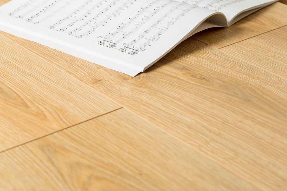 3332 Soul Oak 3332 Soul Oak