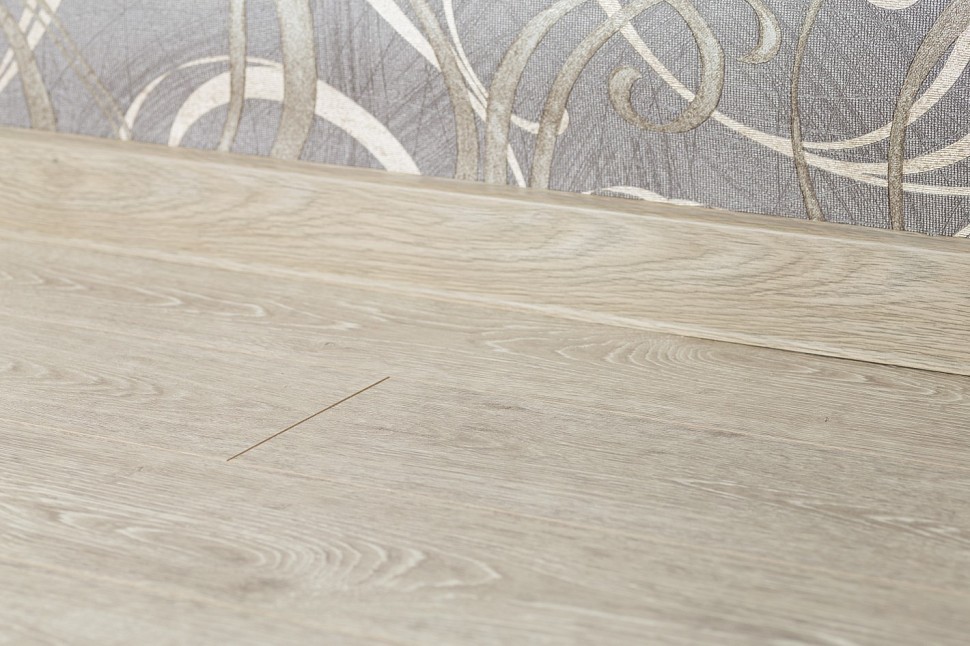 3491 Ceylon Oak 3491 Ceylon Oak