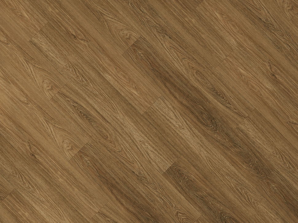 Дуб летний SPC 2209 Дуб летний SPC 2209