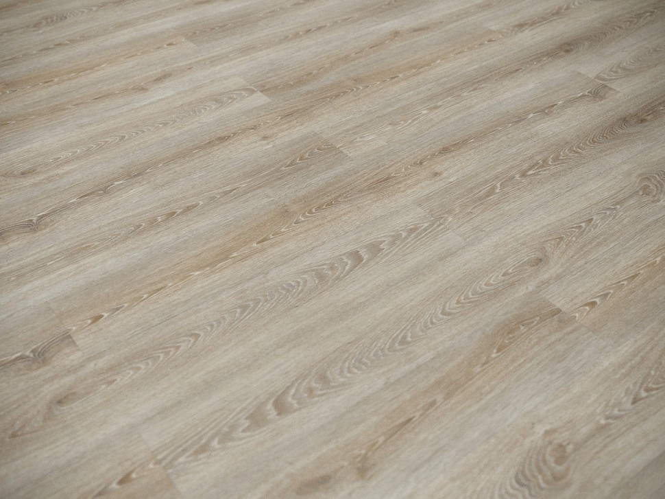 FF-1262 Дуб Генезис