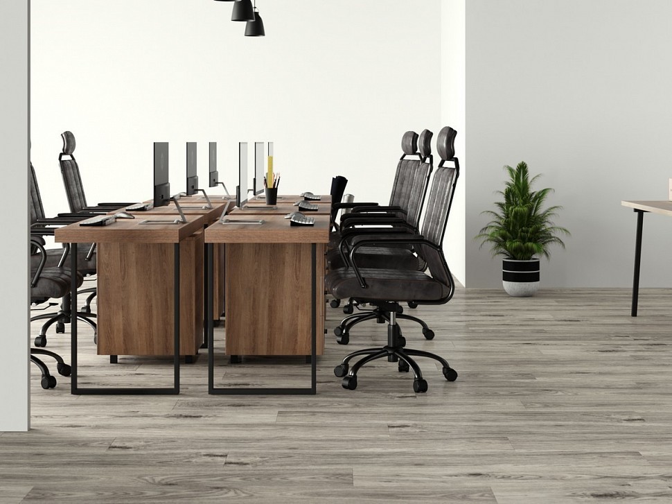 895 Windsor Oak 895 Windsor Oak