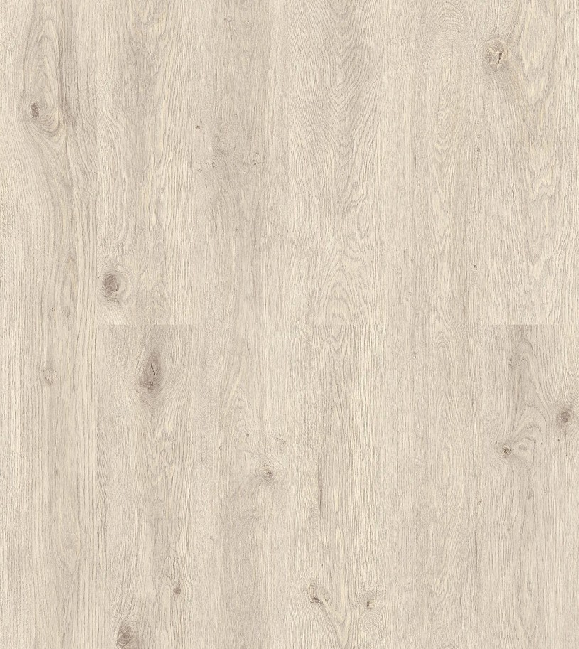 Дуб Церта Дуб Церта