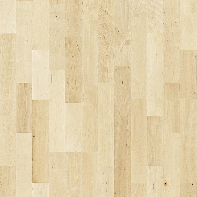 Береза Аланды (Aaland) Береза Аланды (Aaland)