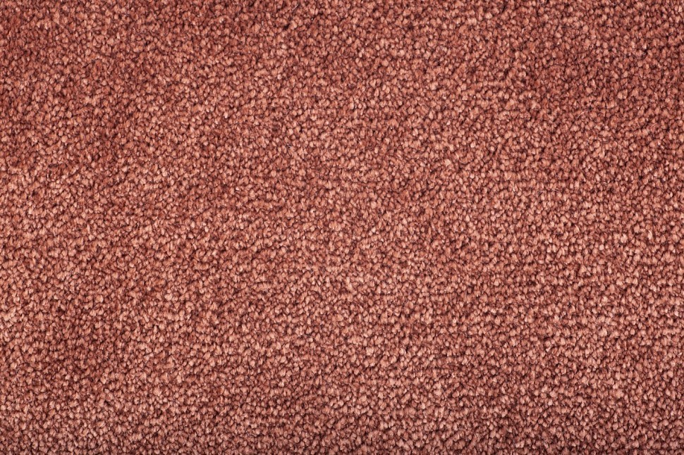 Elegance 25 Elegance 25