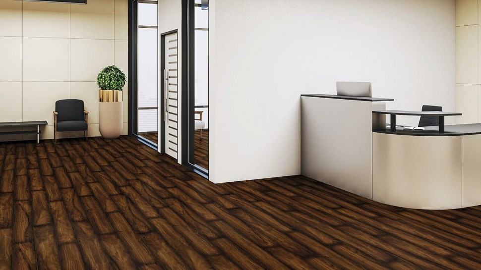 Клён Velvet Клён Velvet