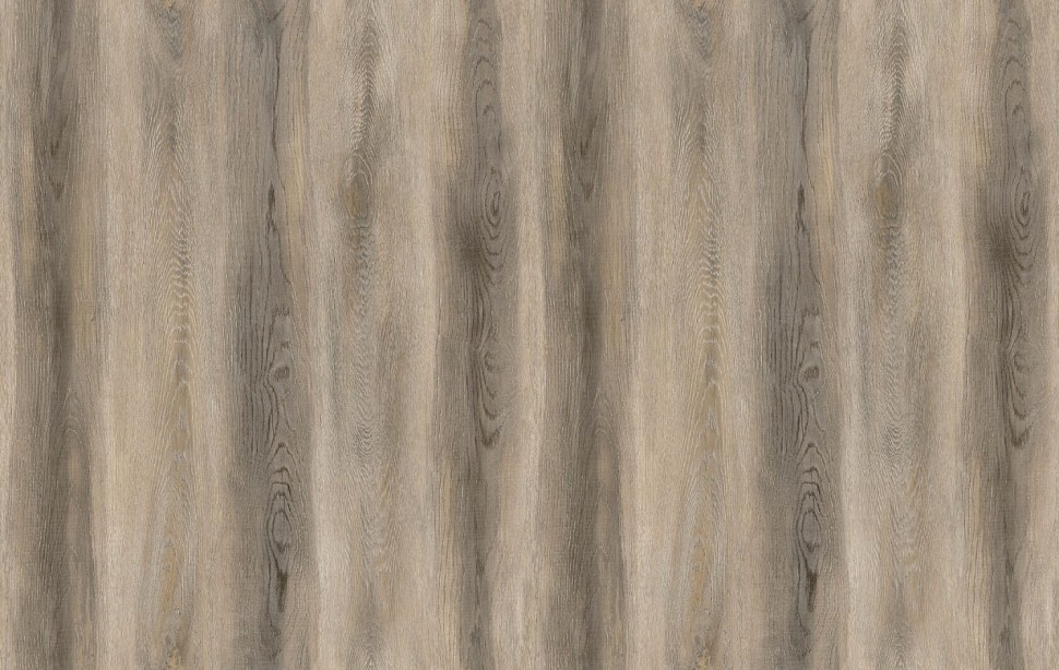 Дуб Лунный Дуб Лунный