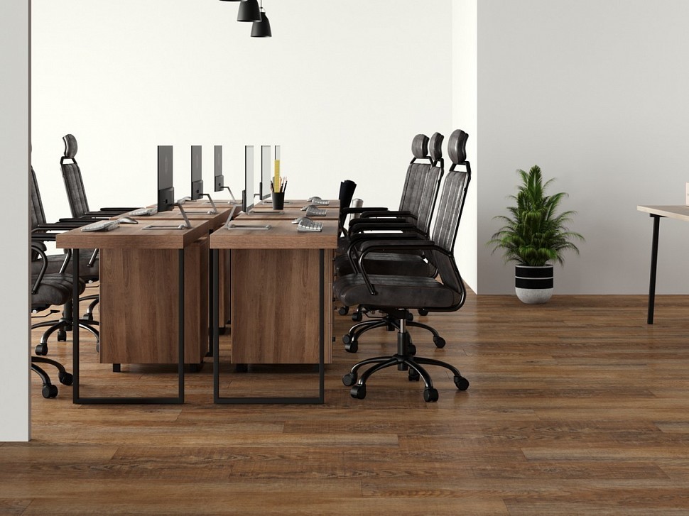 845 Canadian Oak 845 Canadian Oak