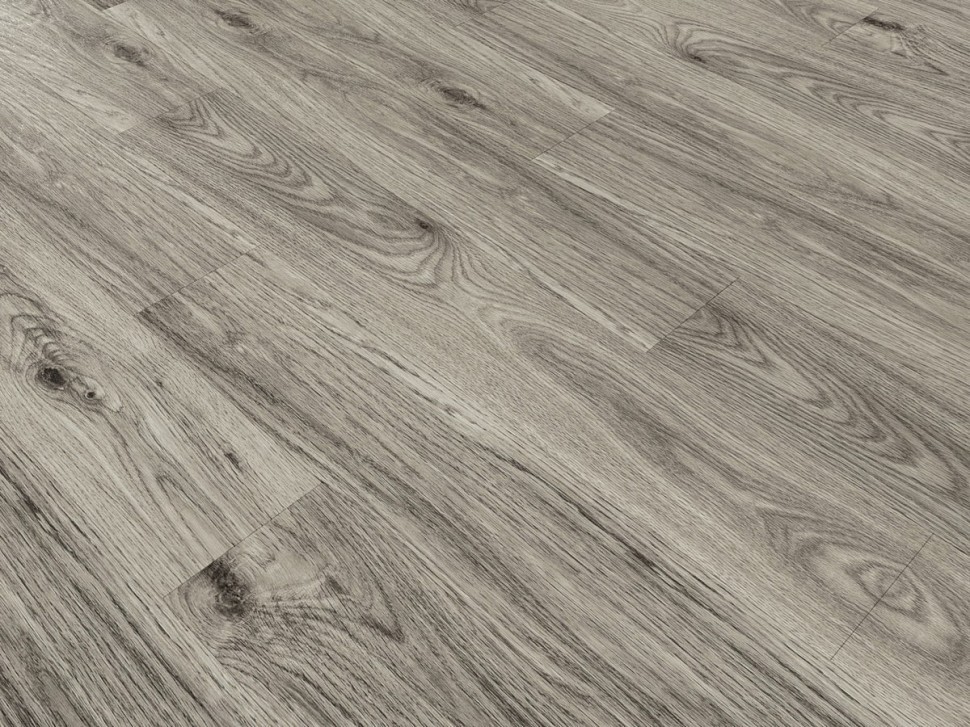 895 Windsor Oak 895 Windsor Oak