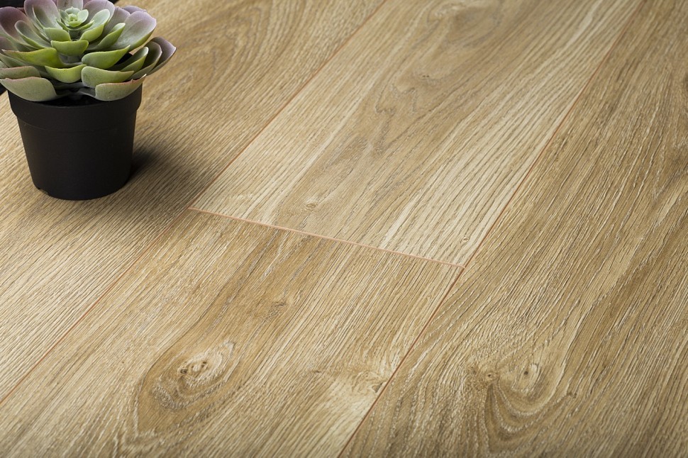 Symfonia D4531 Sonata Oak