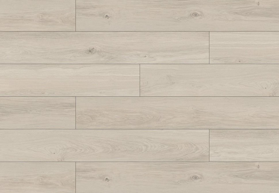 SPC ламинат Evofloor Home - Ash Light (Ясень Светлый)