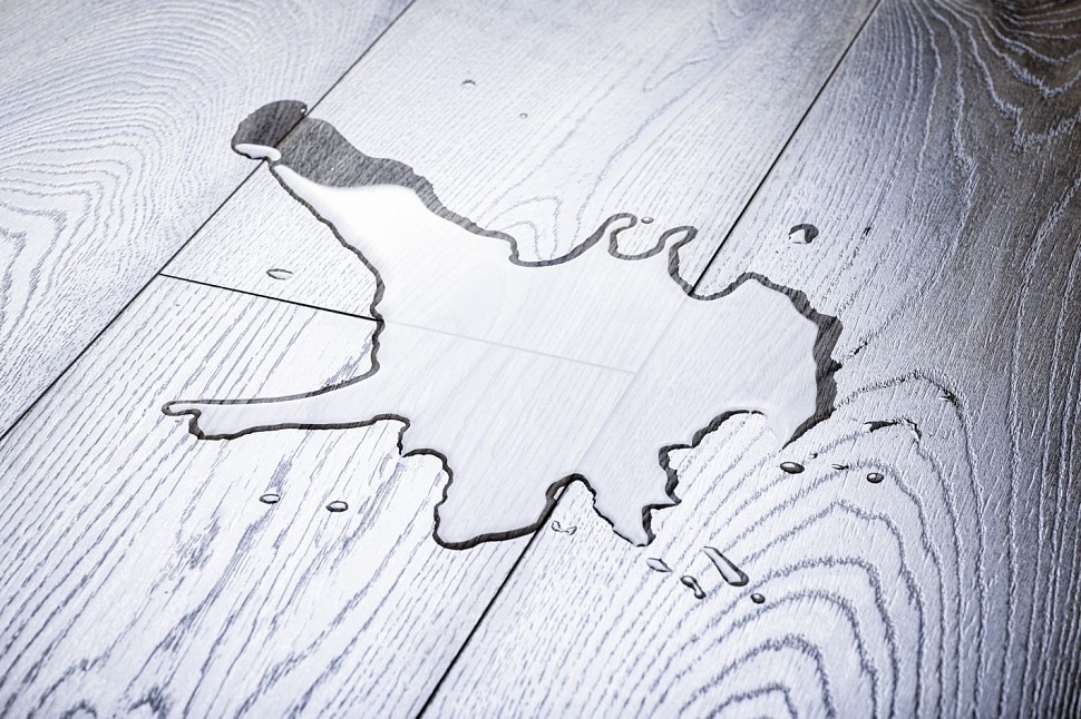 D4578 Дуб Sparrow