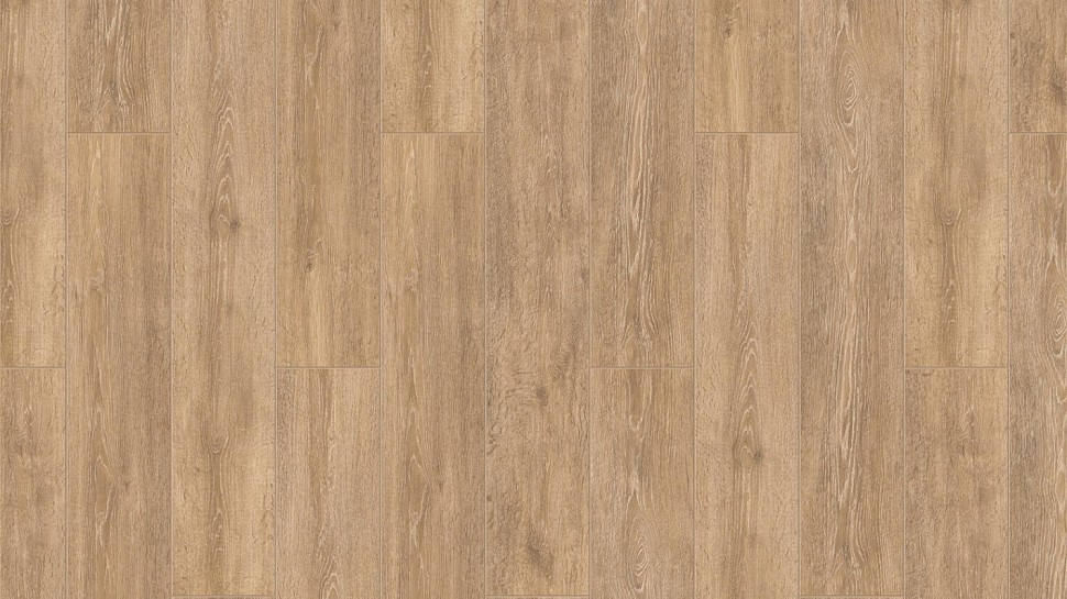 IMPERATOR 833 Cladius / Клавдий