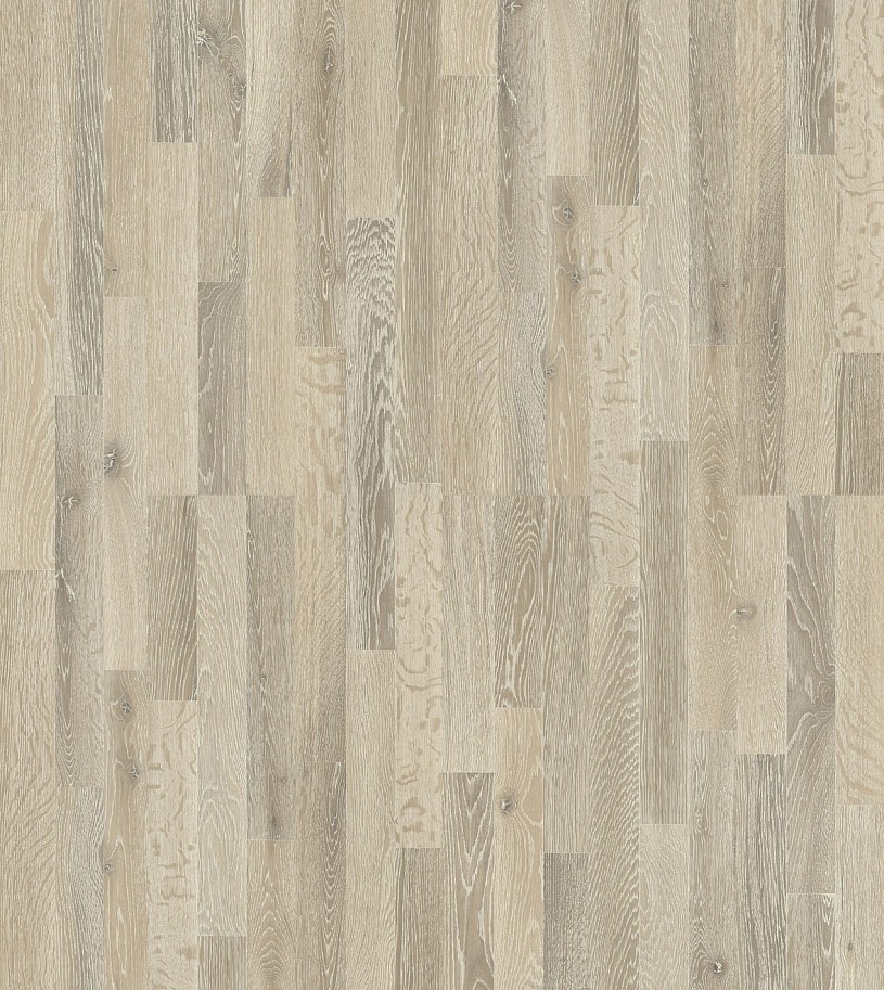 Дуб Серебряный Дуб Серебряный