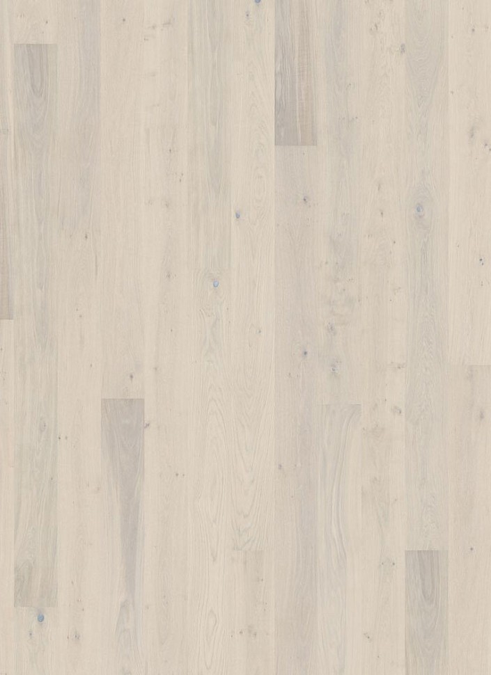 Дуб Небо (Sky)