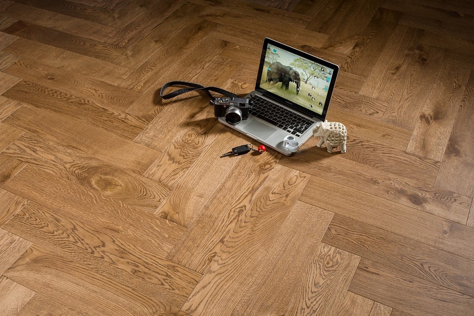 КЕДР Английская ёлка КЕДР Английская ёлка