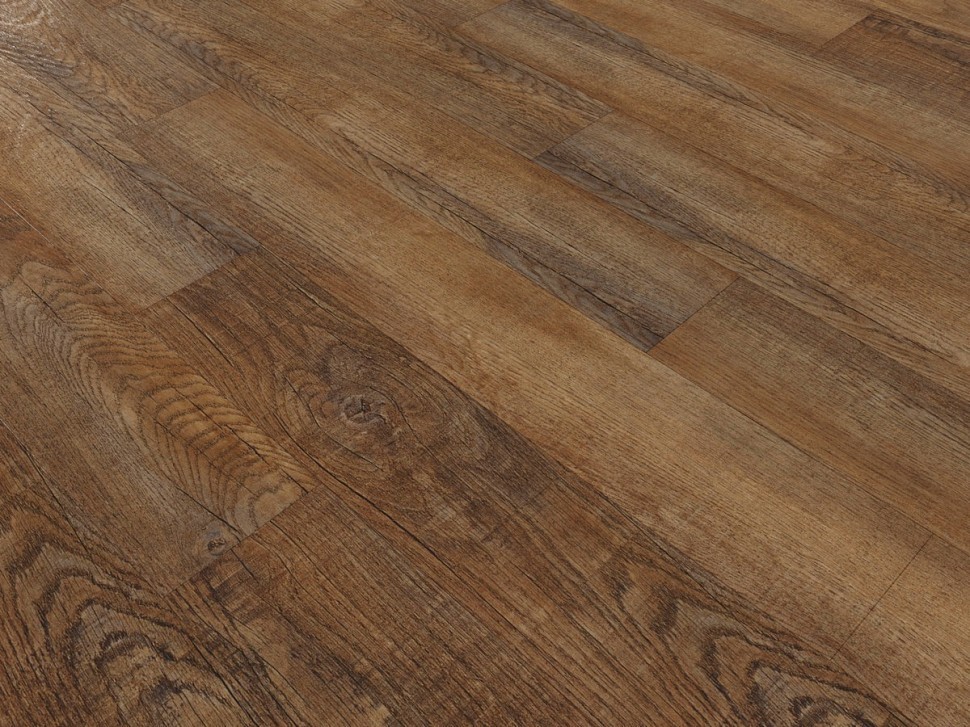 845 Canadian Oak 845 Canadian Oak