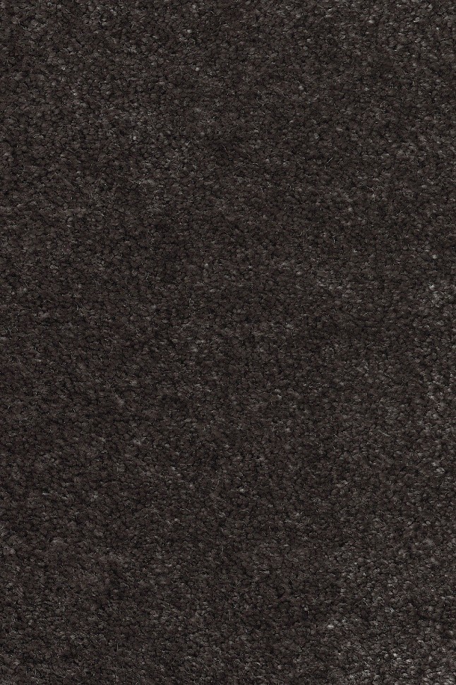 Ковролин Masquerade Euphoria 43 Ковролин Masquerade Euphoria 43