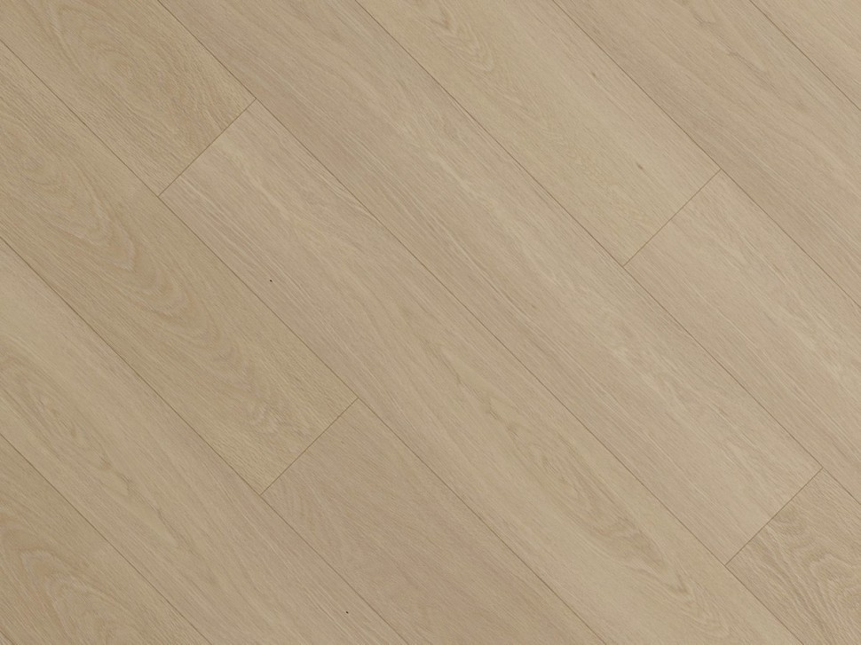 SPC 3307 Дуб кардамон SPC 3307 Дуб кардамон