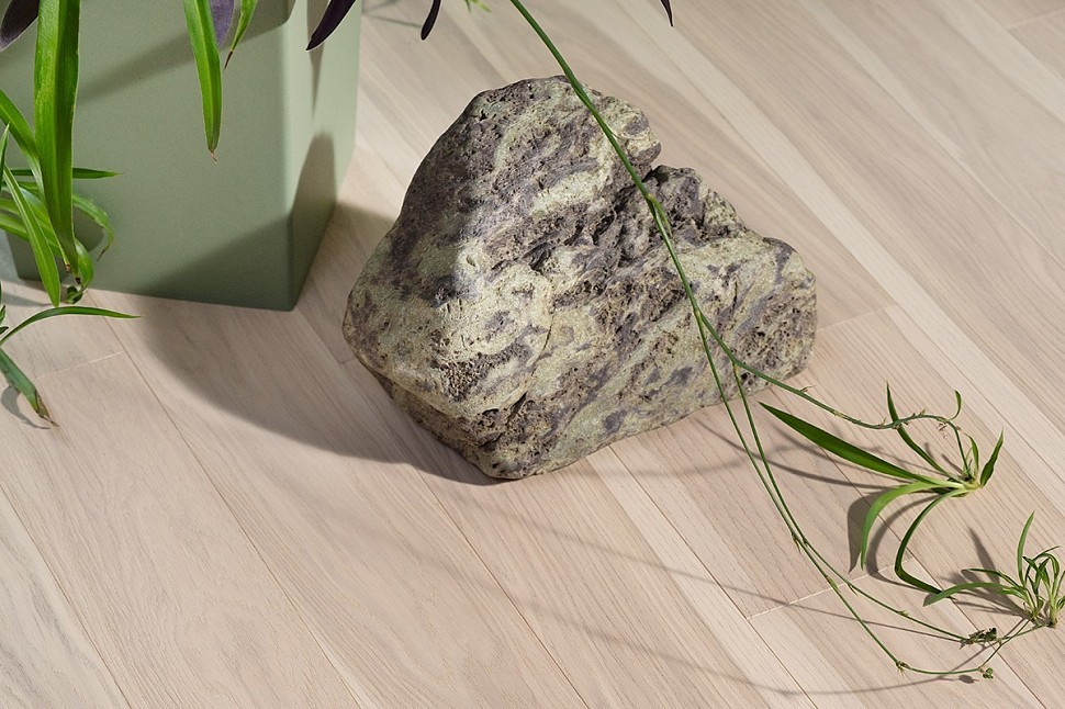 БЕЛОСНЕЖНЫЙ