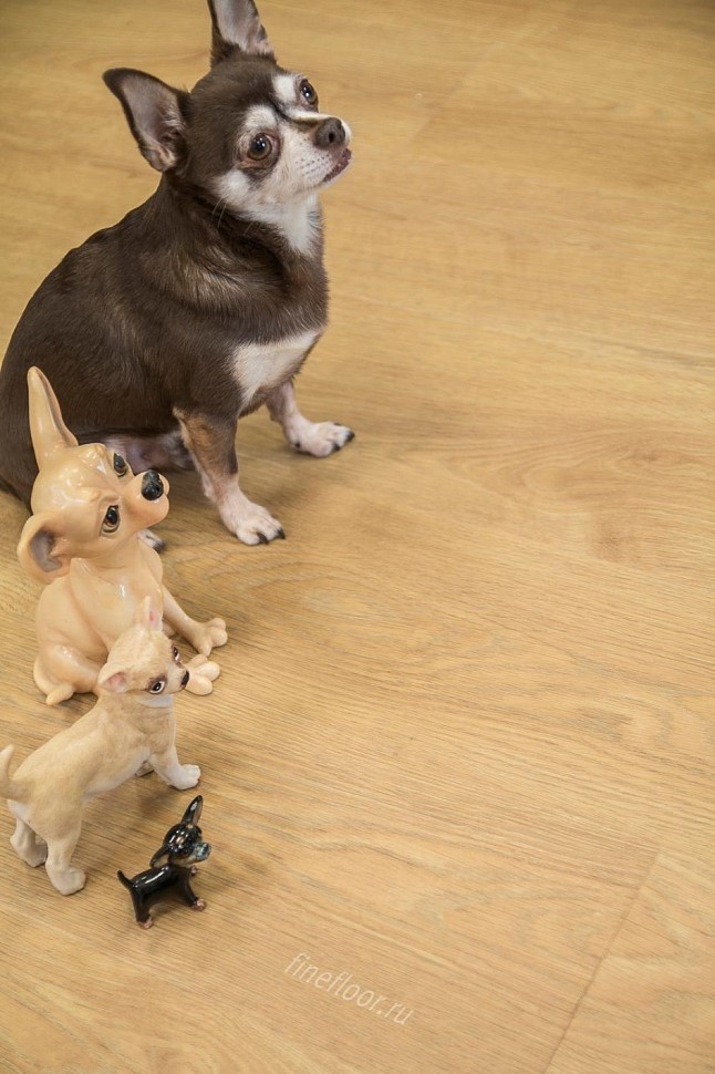 Виниловая плитка FineFloor FF-1977 Дуб Сицилия