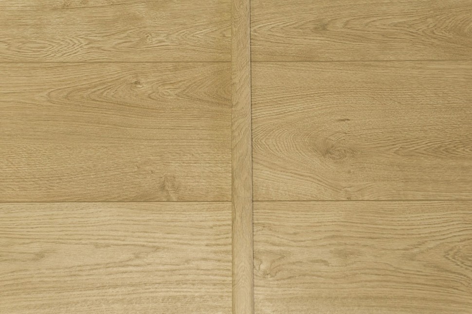 D4581 Hollywood Oak D4581 Hollywood Oak