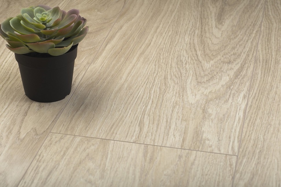 D4587 Tulip Oak D4587 Tulip Oak