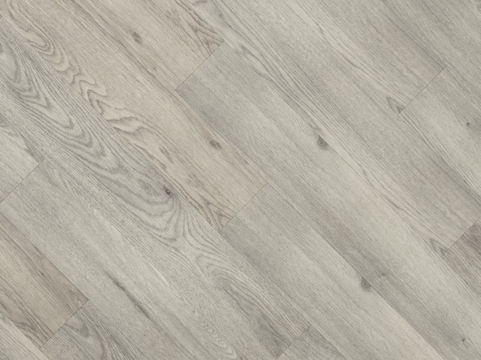 892 Windsor Oak 892 Windsor Oak