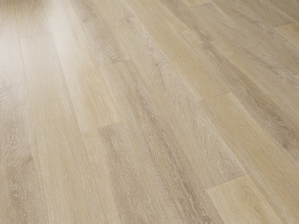 SPC 6614 Дуб базальтовый