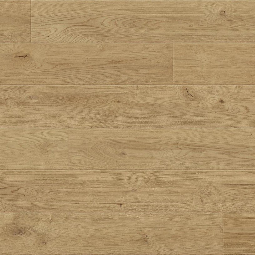 Дуб Toledo Дуб Toledo