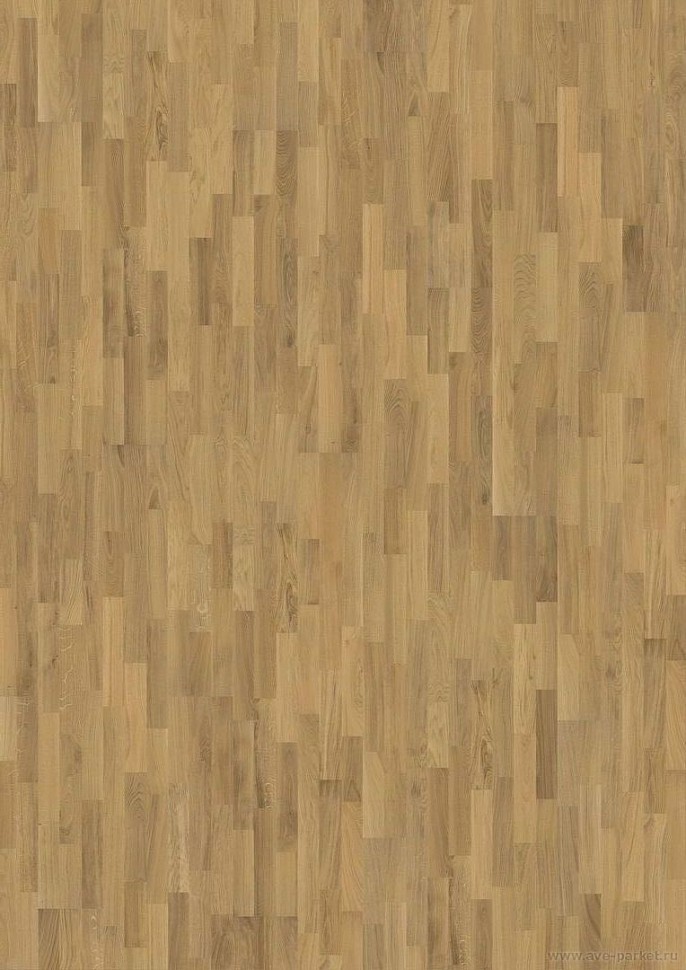 Дуб Рассвет (Dawn) Дуб Рассвет (Dawn)