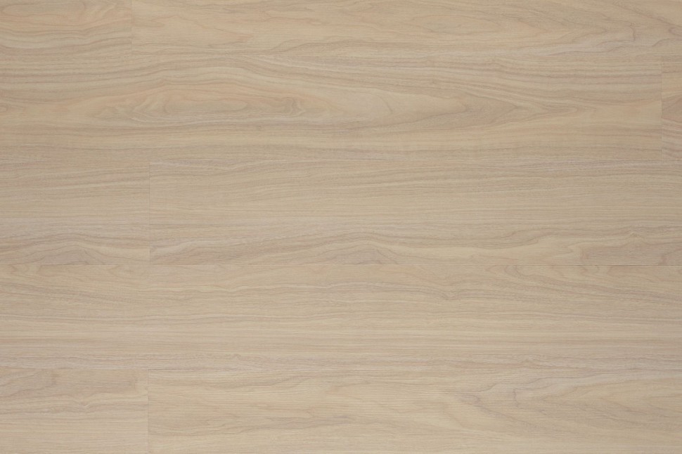 AF5516 GLUE AF5516 GLUE