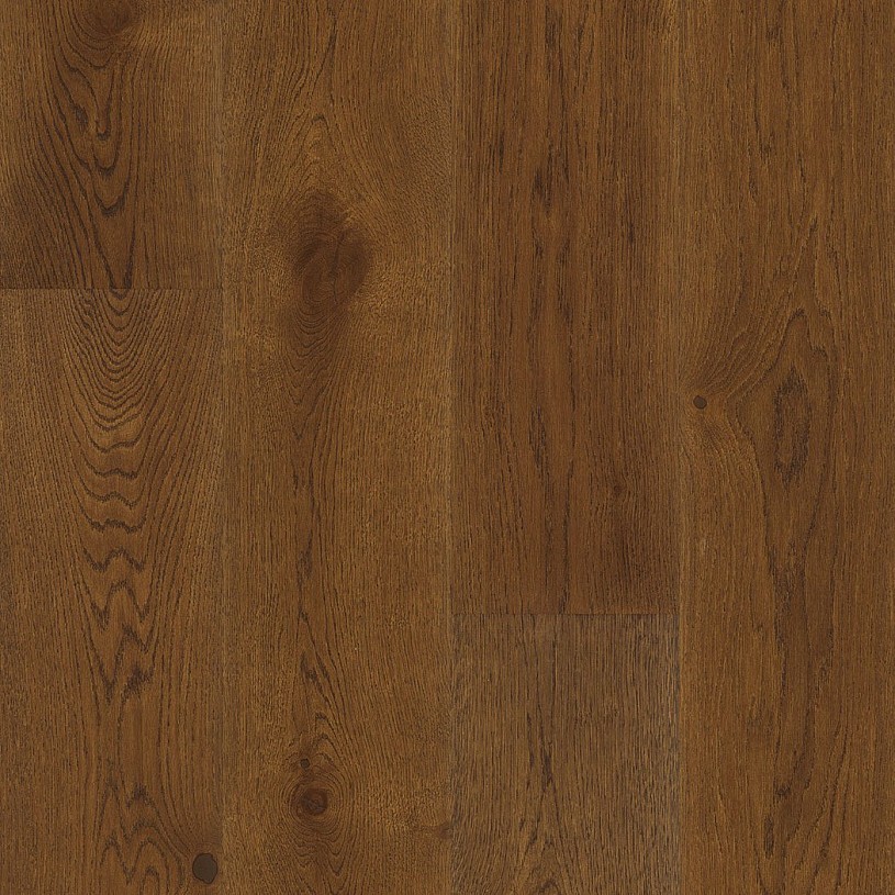 Дуб Янтарь (Rich)