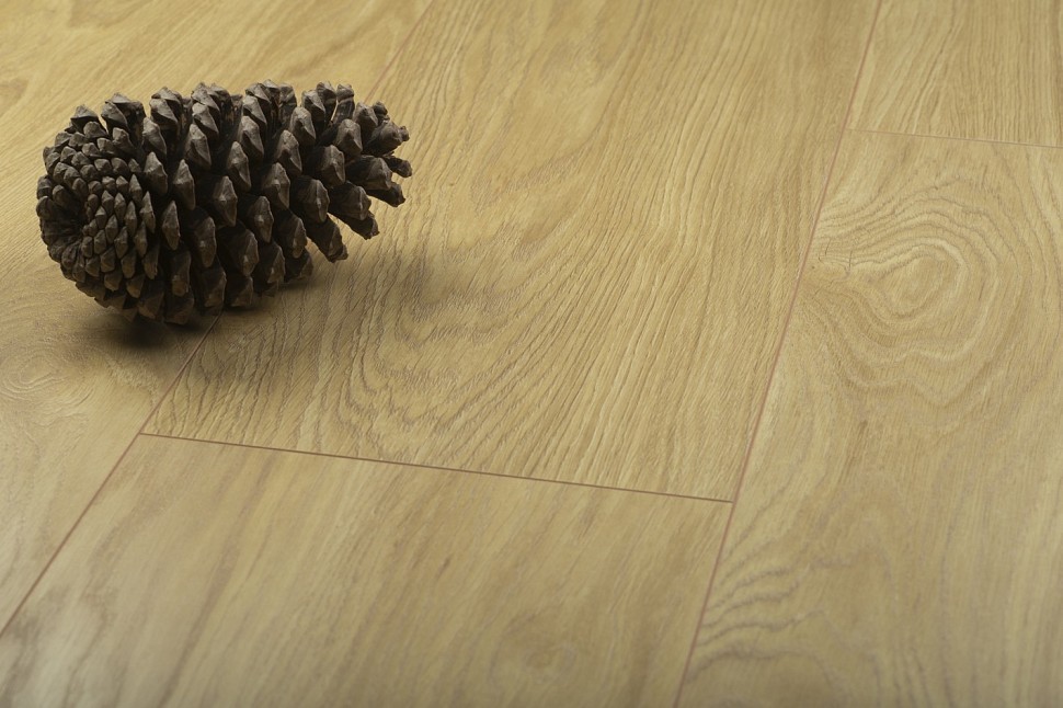 D4588 Sunflower Oak D4588 Sunflower Oak