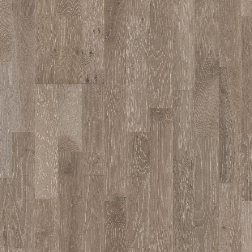 Дуб Сплав (Alloy)