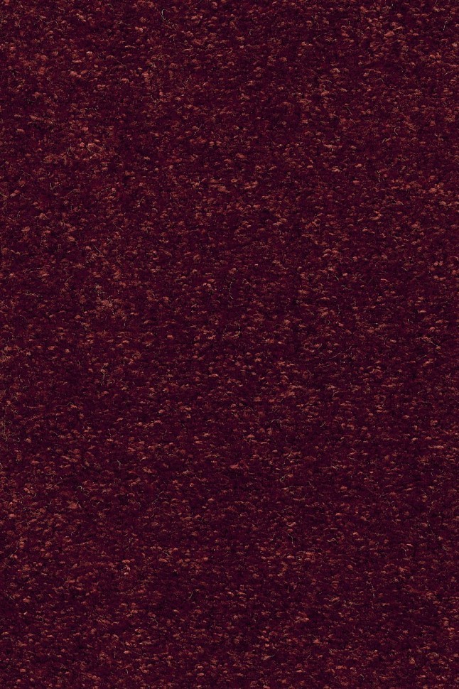 Ковролин Masquerade Costanza 19 Ковролин Masquerade Costanza 19