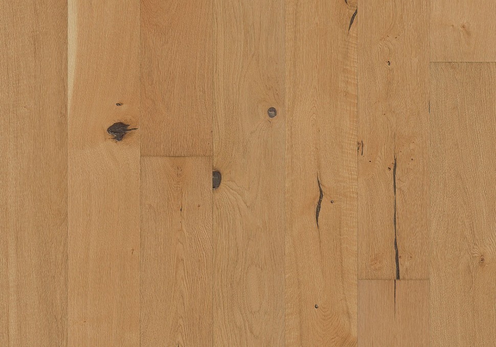 Дуб Юхан (Johan) Дуб Юхан (Johan)