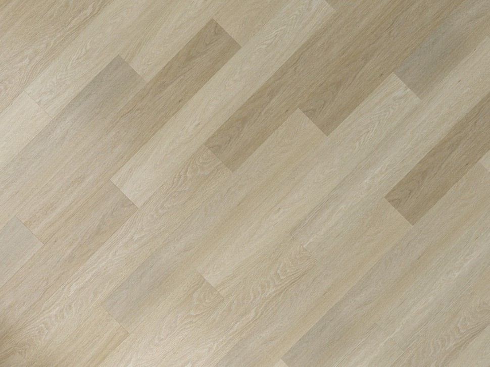 SPC 6604 Дуб шампань SPC 6604 Дуб шампань