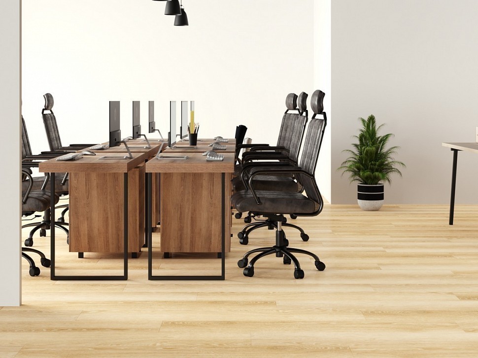 832 Romeo Oak 832 Romeo Oak