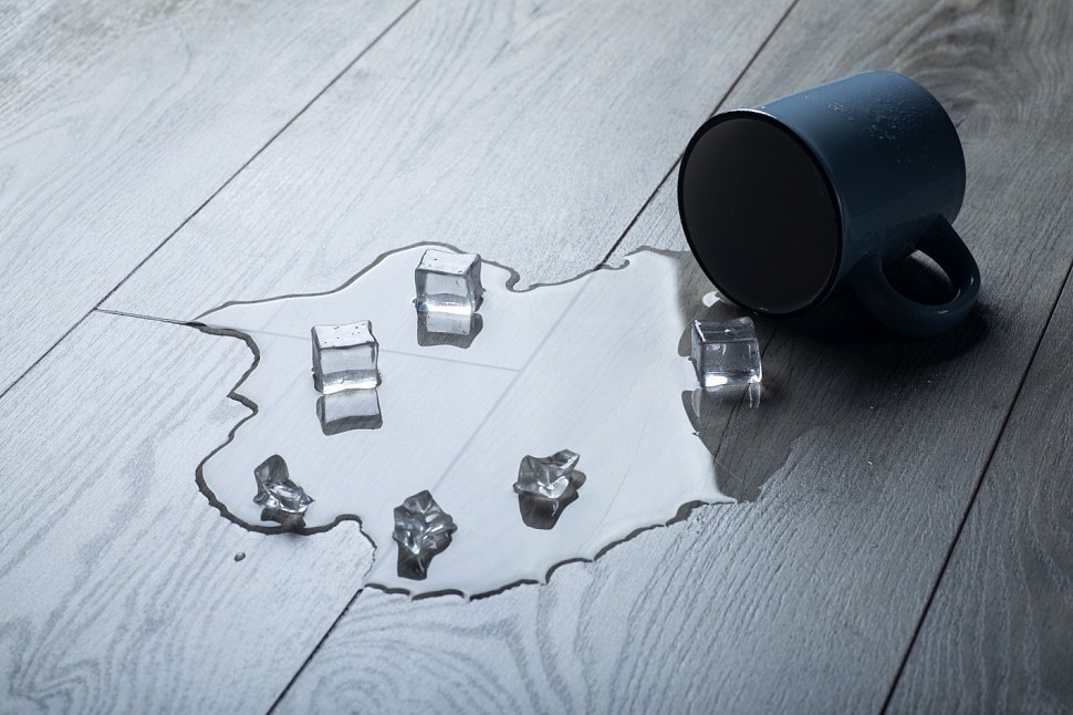 Symfonia D4529 Solo Oak Symfonia D4529 Solo Oak