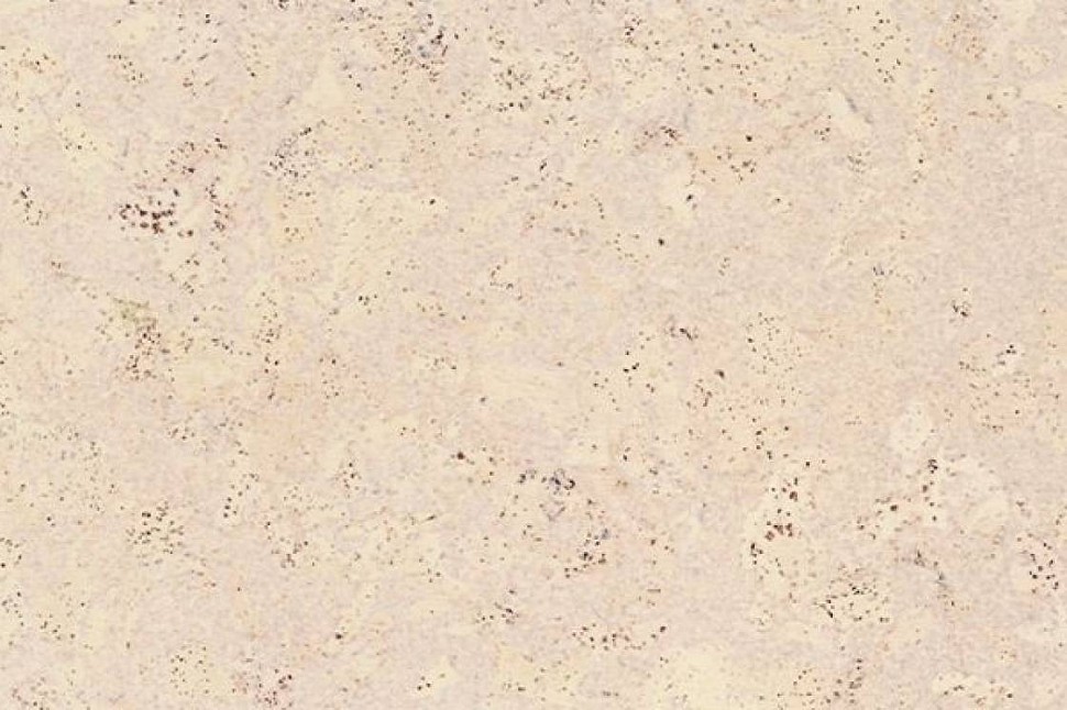 Пробковый пол Madeira White Пробковый пол Madeira White