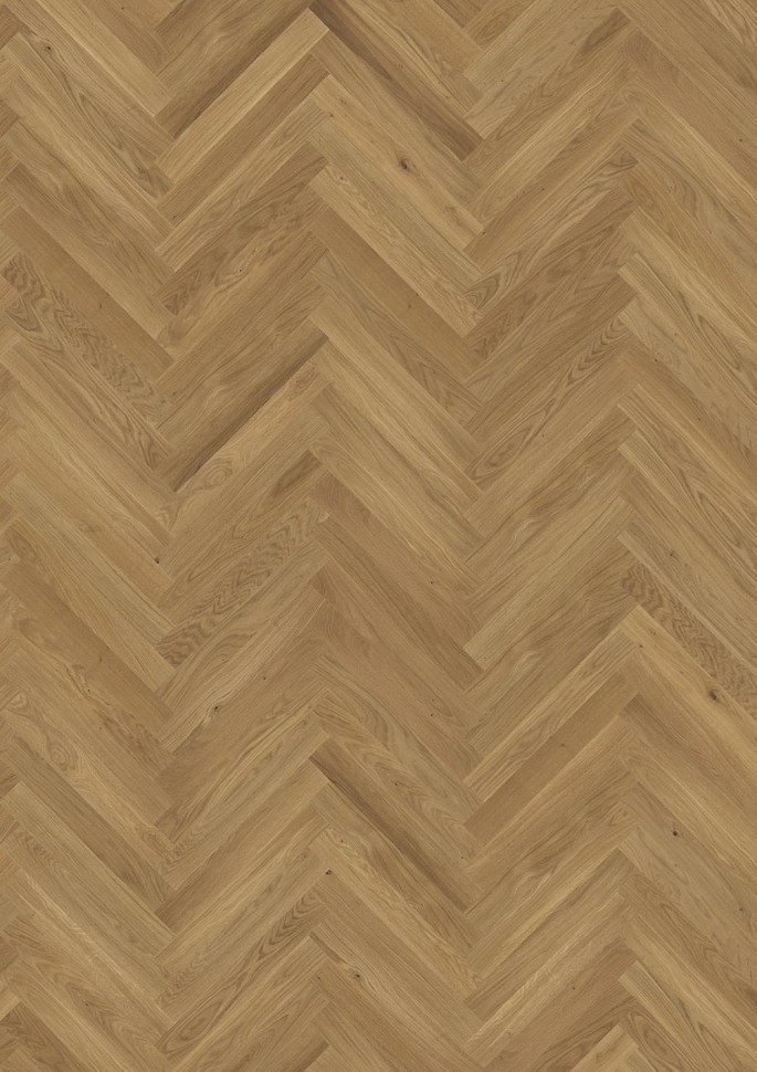 CD под маслом - Oak CD Natural oiled HB CD под маслом - Oak CD Natural oiled HB