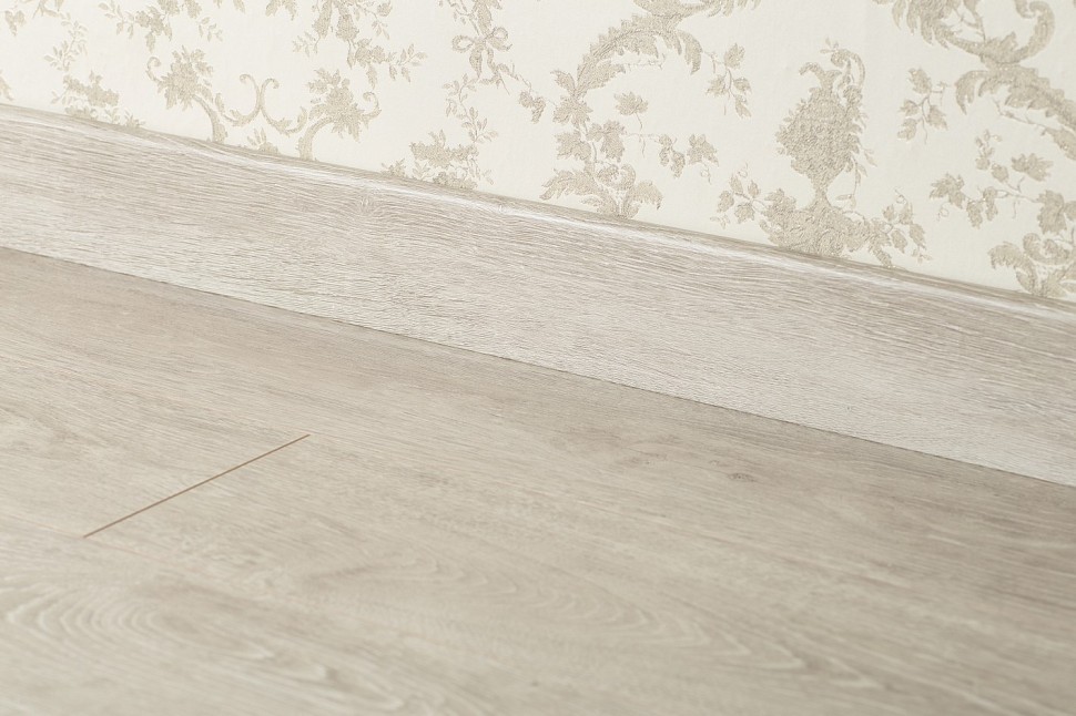 3491 Ceylon Oak 3491 Ceylon Oak