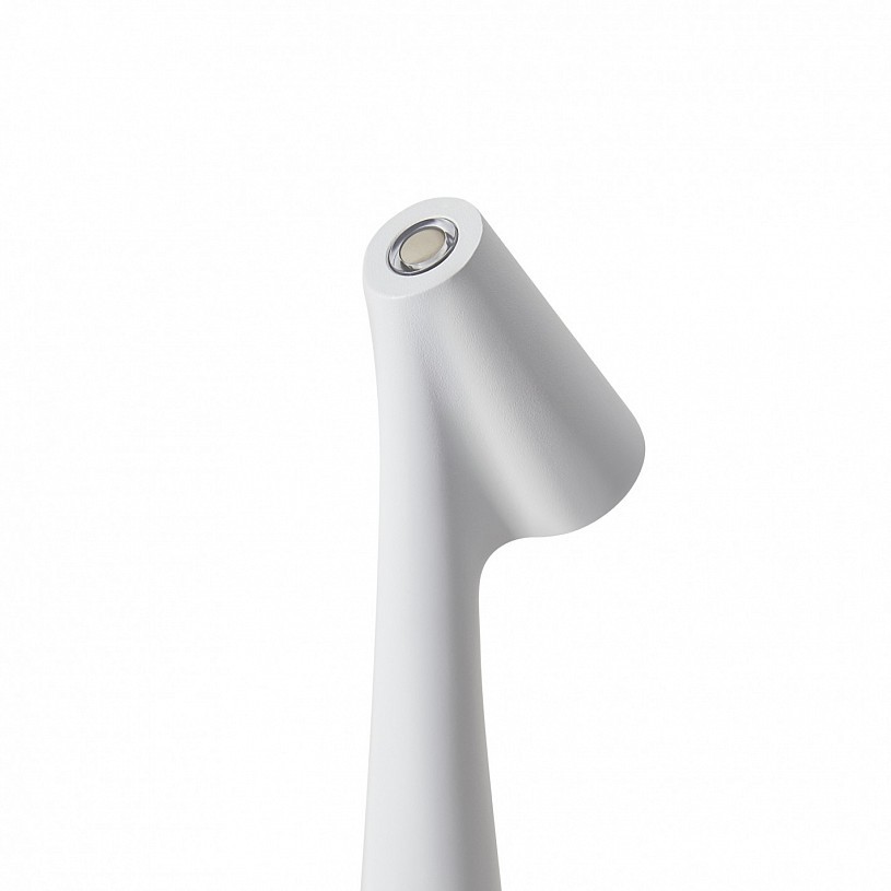 Настольный светильник Freya FR6188TL-L3W